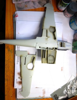 20250217_092513 20.jpg