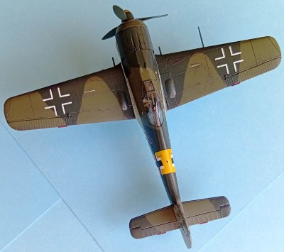 FW190A5_04.jpg