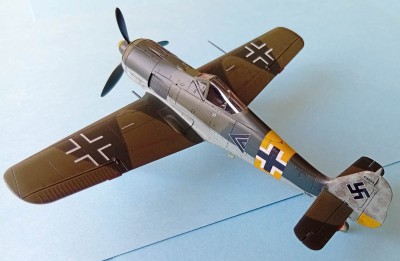 FW190A5_02.jpg