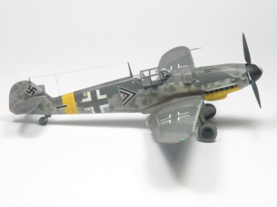 P5178683.JPG