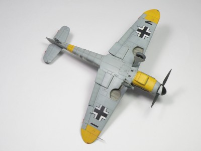 P5178695.JPG