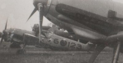 e-1.jpg