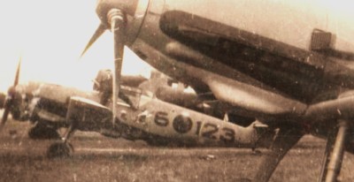 e-11.jpg
