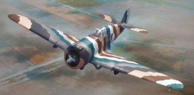P-36C.jpg