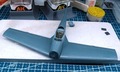 P5172052a.jpg