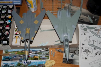 s čínským novorozeným kolegou (F-14A Hobbyboss)