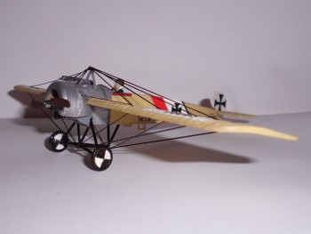 CIMG5955.JPG
