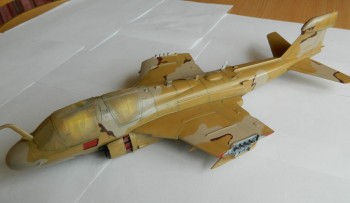 DSCN1986a.jpg