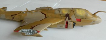 DSCN1973a.jpg