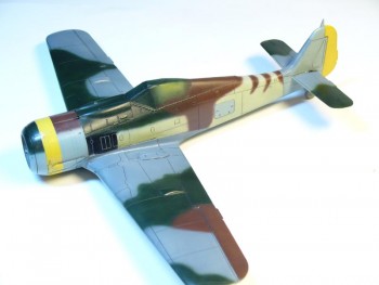 fw190F8_postup14.jpg