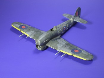 t1.jpg