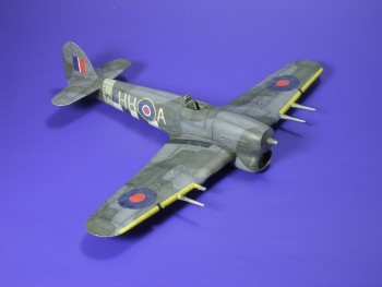 t2.jpg
