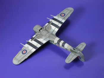 t3.jpg
