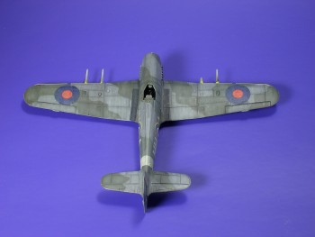 t4.jpg