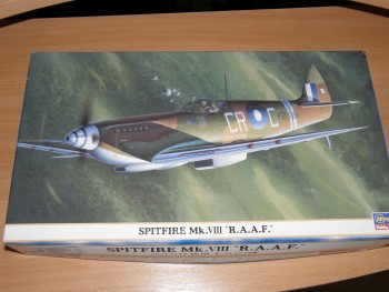 P-40 & Spitfire 002.jpg