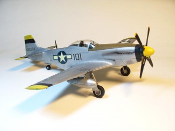 P51D20_hotov4.jpg