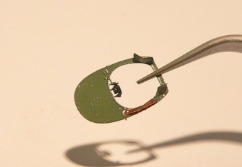 P1110020.jpg