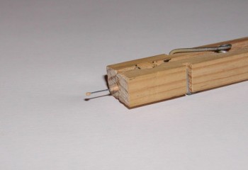 P1010045.JPG
