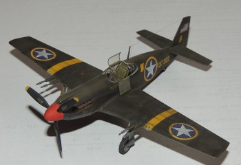 P-51.jpg
