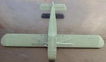 DSCN1084.JPG