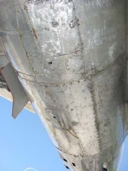 IMG_1543.JPG
