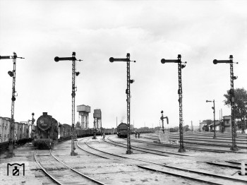 171.jpg