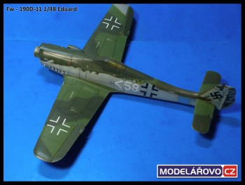 d11-19.jpg