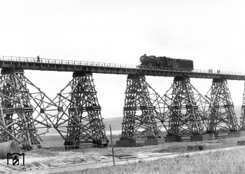 339.jpg