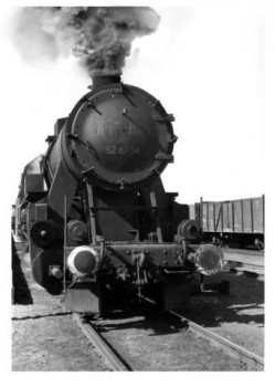849.jpg