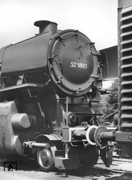 3868.jpg