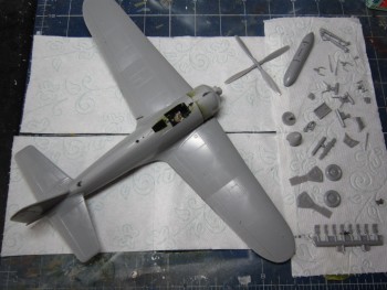 hruba stavba a zacistena drobotina