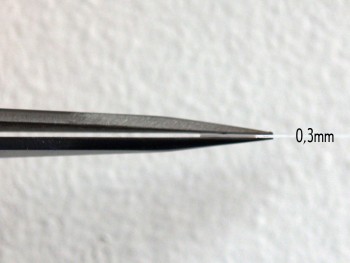 P5151426.JPG