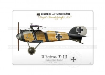 albatros-dv-ltn-kempf-1917-bh-18.jpg